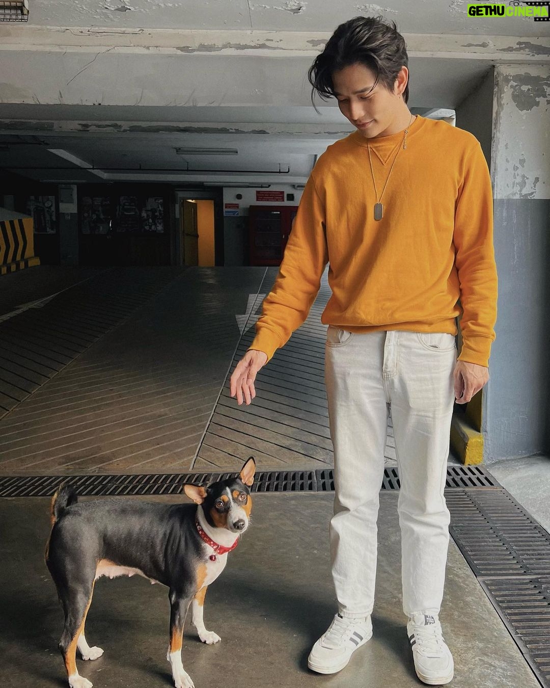 Thanat Lowkhunsombat Instagram - ลีเพื่อนโซเฟีย 🐶