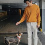 Thanat Lowkhunsombat Instagram - ลีเพื่อนโซเฟีย 🐶
