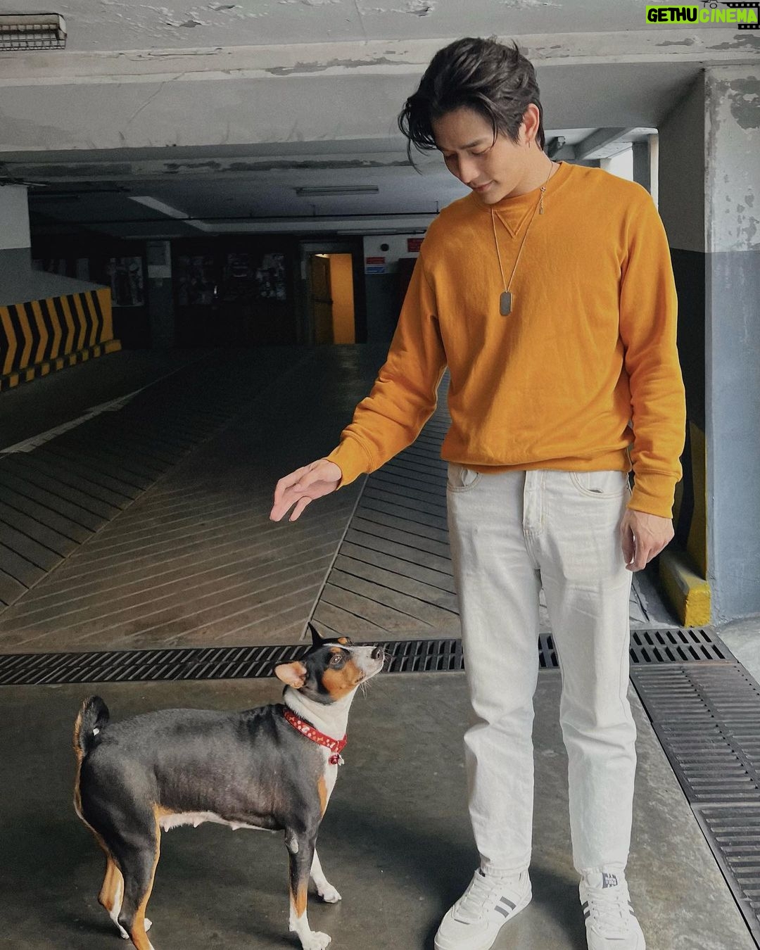 Thanat Lowkhunsombat Instagram - ลีเพื่อนโซเฟีย 🐶