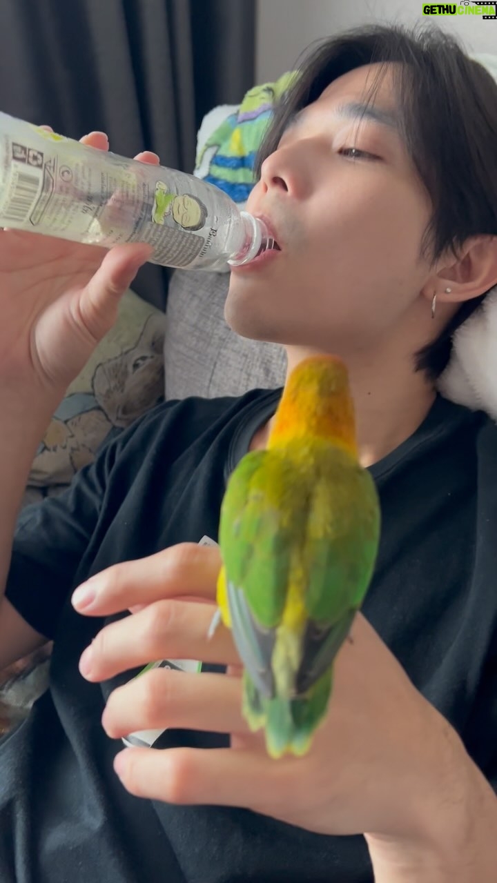 Thanat Lowkhunsombat Instagram - โอ้ยย แจ่บ !!! 🦜