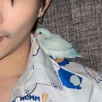 Thanat Lowkhunsombat Instagram – คิดถึงแล้ว ดาวนกเป็นไงบ้าง บินเก่งชึ้นรึยังลูก 🦜