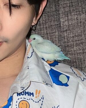 Thanat Lowkhunsombat Instagram - คิดถึงแล้ว ดาวนกเป็นไงบ้าง บินเก่งชึ้นรึยังลูก 🦜