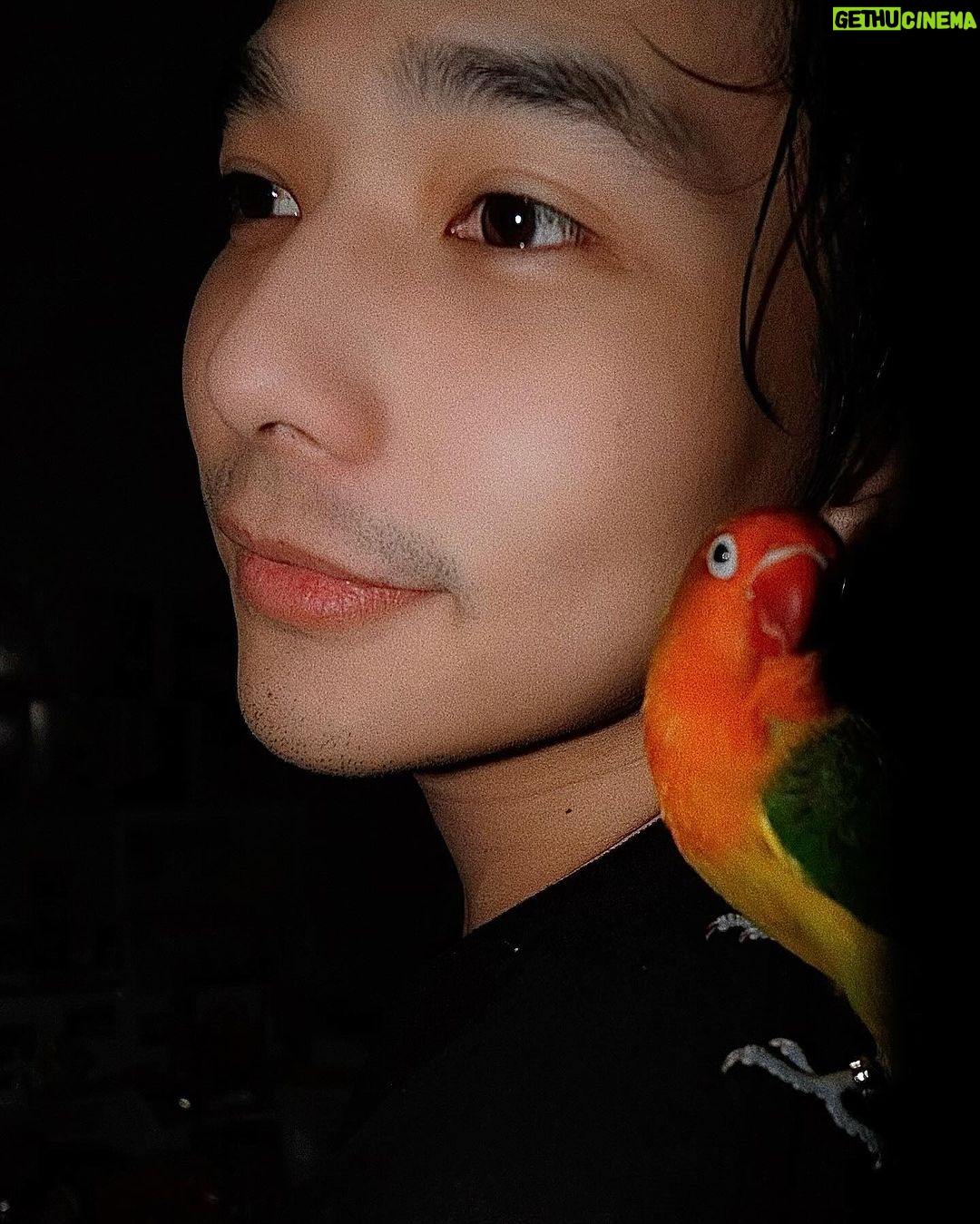 Thanat Lowkhunsombat Instagram - แจ่บนะ 🦜