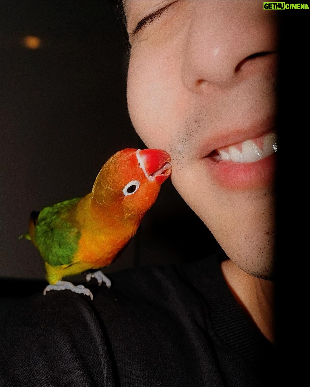 Thanat Lowkhunsombat Instagram - แจ่บนะ 🦜