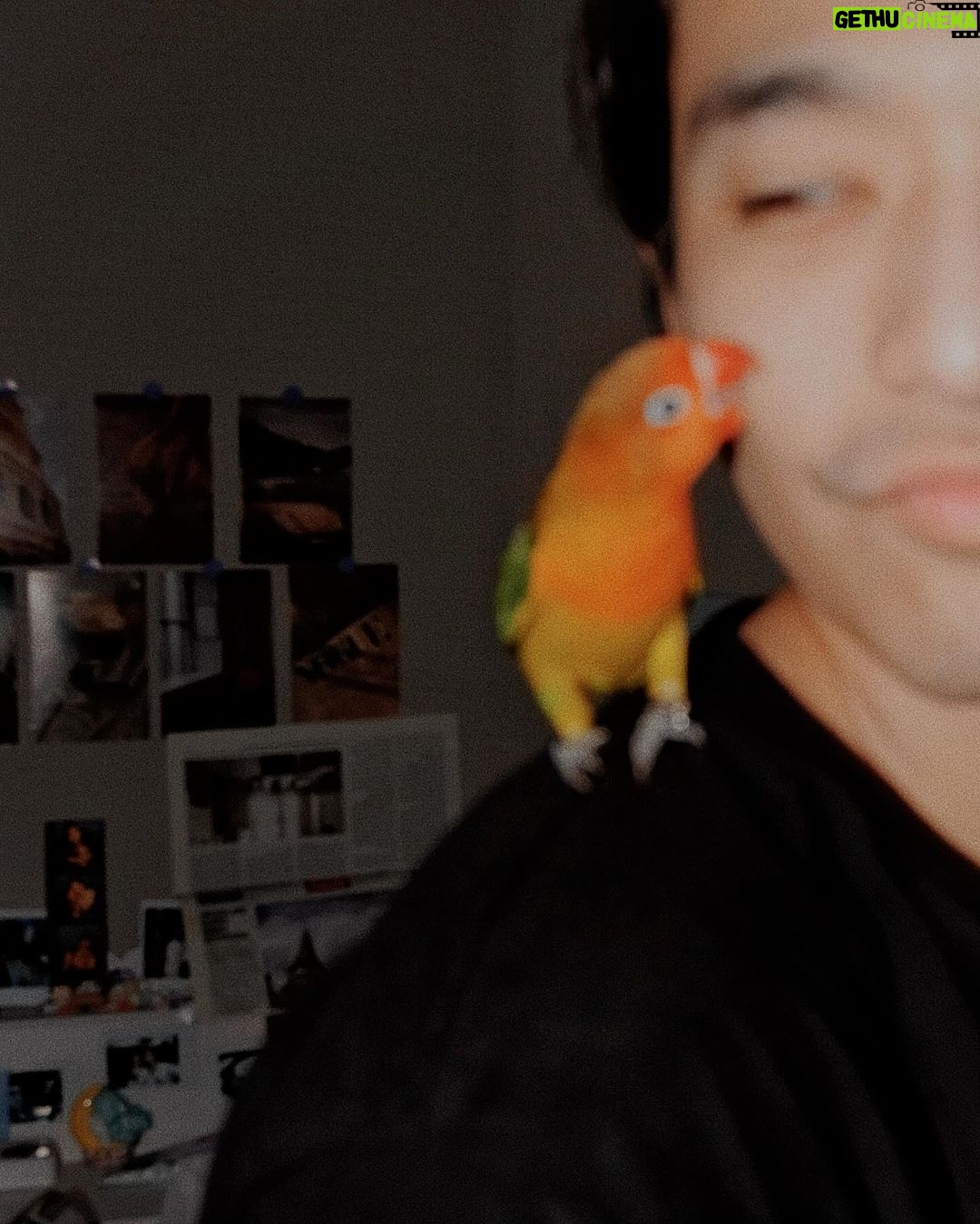 Thanat Lowkhunsombat Instagram - แจ่บนะ 🦜