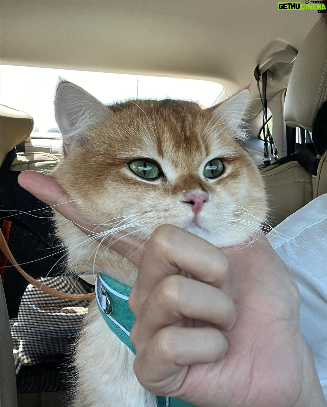 Thanatsaran Samthonglai Instagram - Bạn có nhớ tôi không? 🏔️🐱 Loei, Thailand
