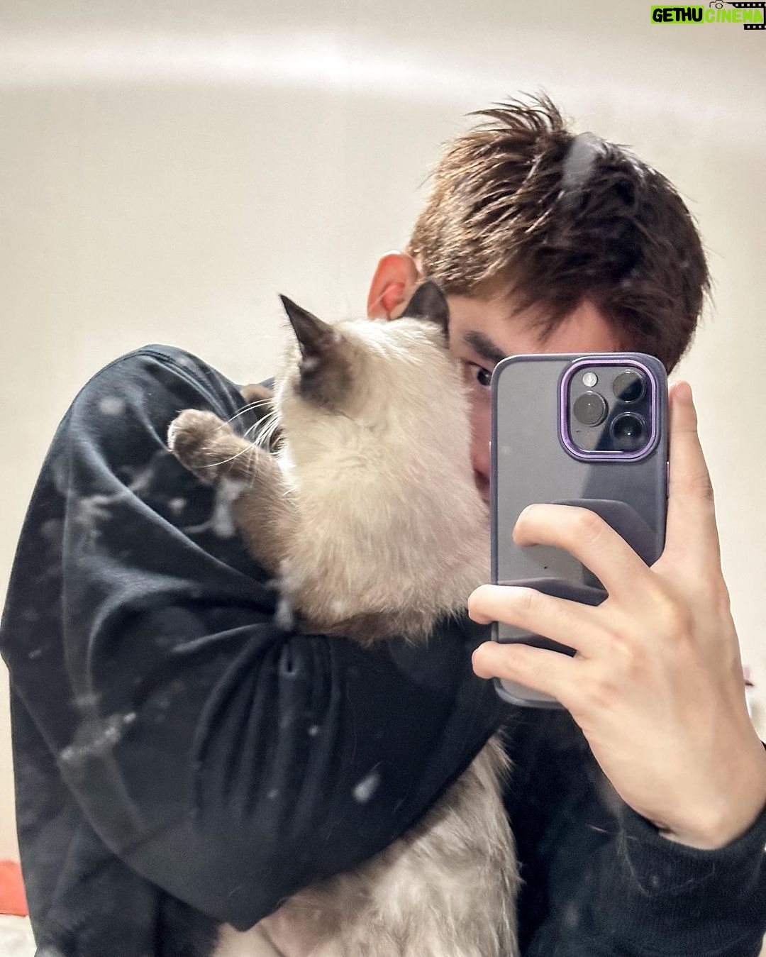 Thanatsaran Samthonglai Instagram - Wanna be my cat 🤎