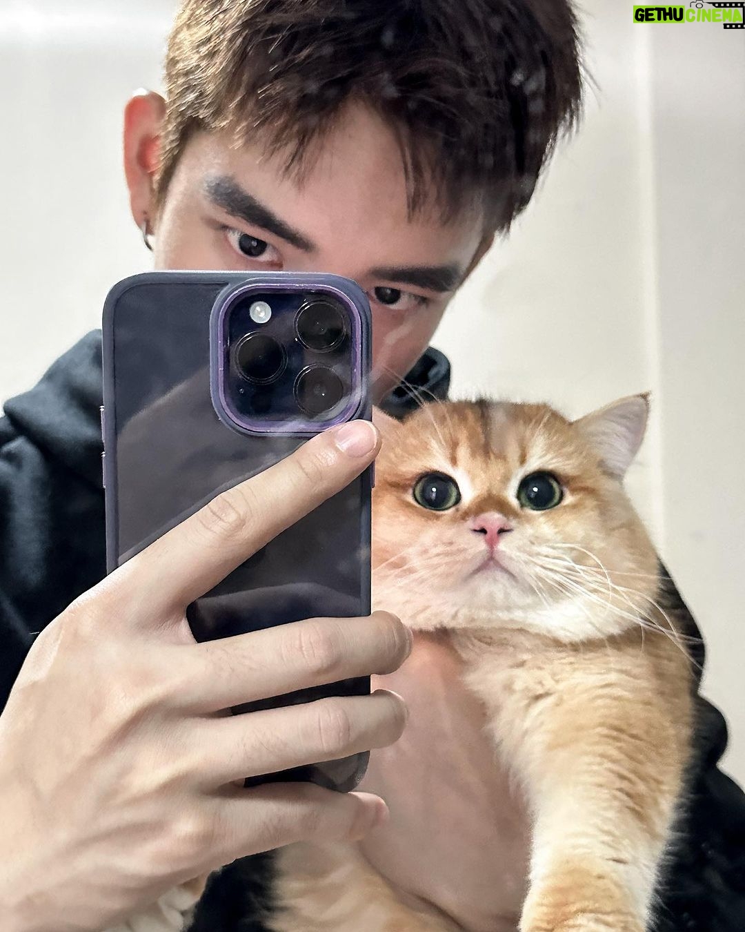 Thanatsaran Samthonglai Instagram - Wanna be my cat 🤎