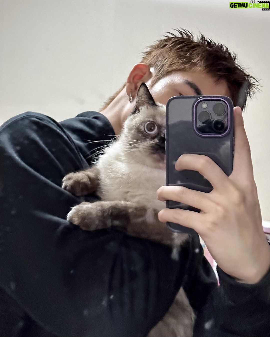 Thanatsaran Samthonglai Instagram - Wanna be my cat 🤎