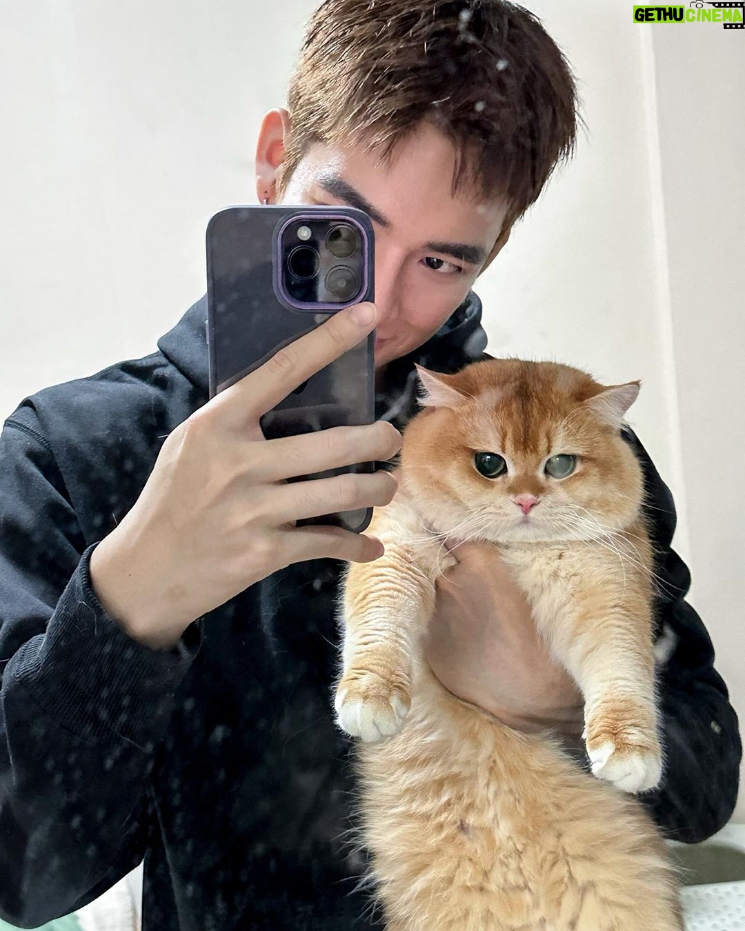 Thanatsaran Samthonglai Instagram - Wanna be my cat 🤎