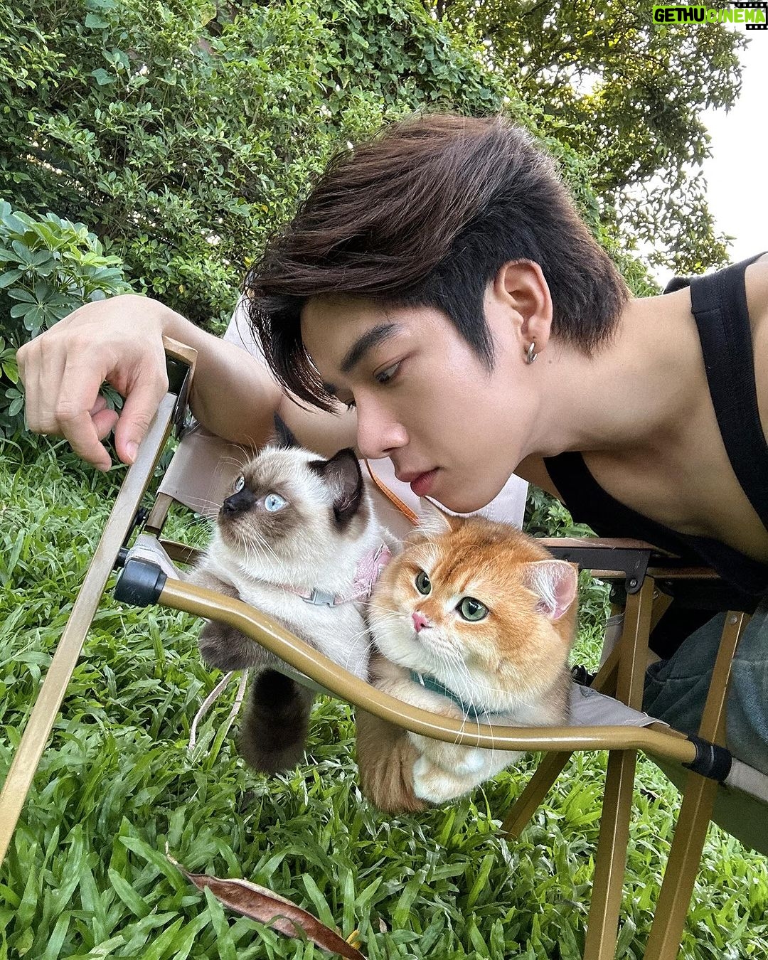 Thanatsaran Samthonglai Instagram - Love me Love my cat ..🐱