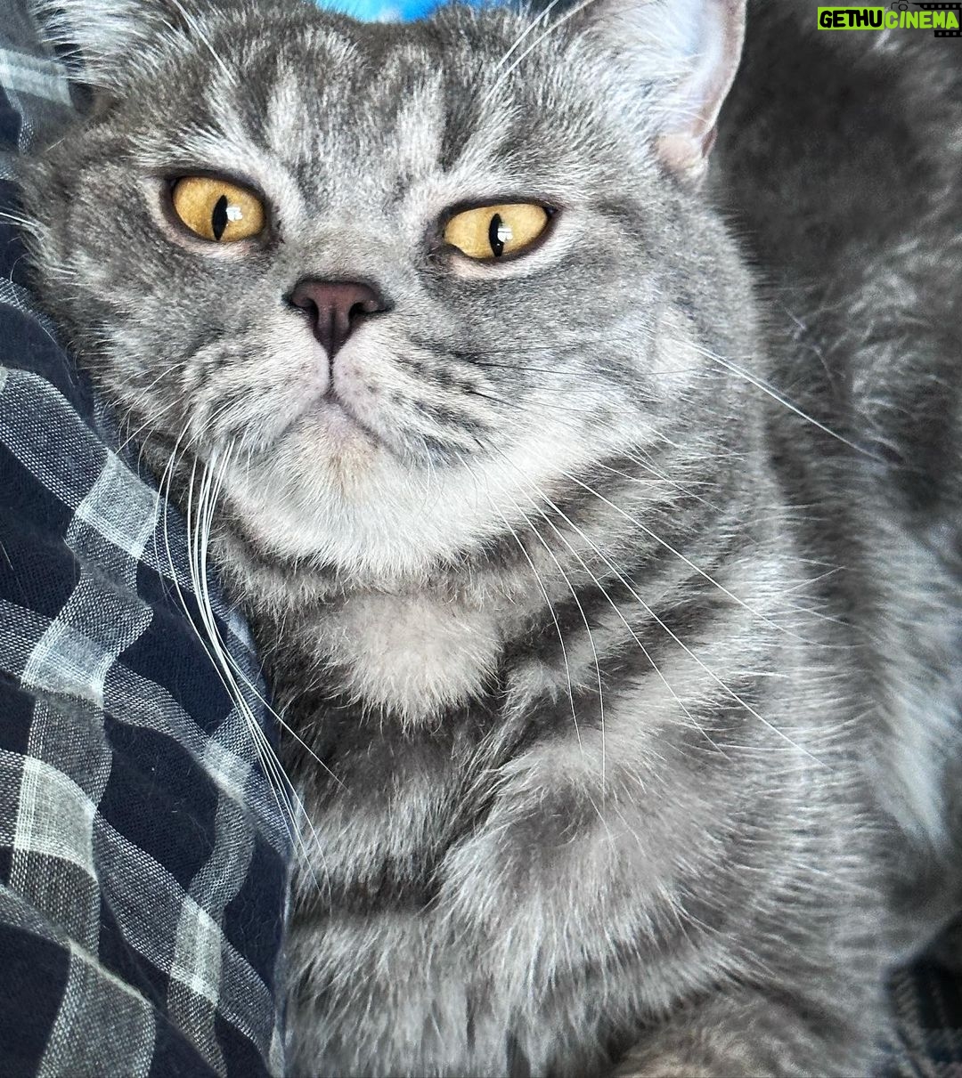 Thanawat Ratanakitpaisan Instagram - 😾