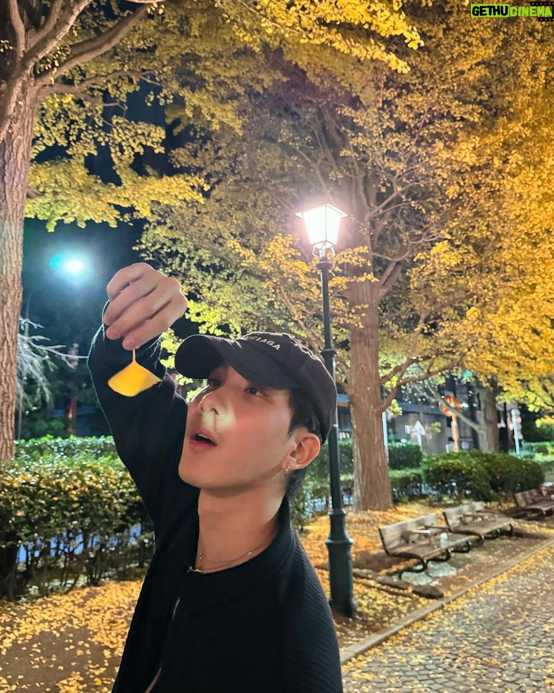 Thanawat Ratanakitpaisan Instagram - Ginkgoo
