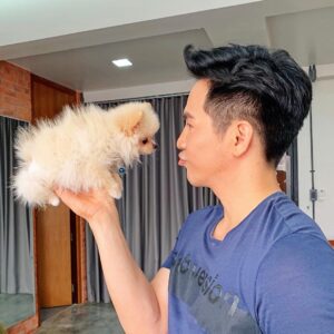 Thanawat Wattanaputi Instagram - เอาไปแทน มน ดีกว่า 🐶