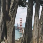 Thanayut Thakoonauttaya Instagram - Not only does age get old, but so do experiences. San Francisco, CA