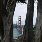 Thanayut Thakoonauttaya Instagram - Not only does age get old, but so do experiences. San Francisco, CA