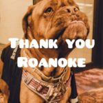 Theo Von Instagram - Thank you Roanoke!! We tried our best last night! My buddy @photostubb_ caught a bunch of yall smilin. Love u guys. Thank u also to Athens, Norfolk, and Greenville. Some beautiful places we been to this week. Thank u guys! I love yall. 🙏 🇺🇸