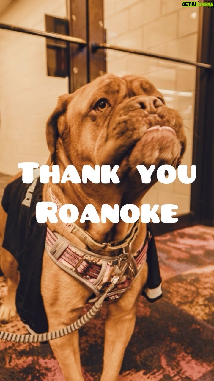 Theo Von Instagram - Thank you Roanoke!! We tried our best last night! My buddy @photostubb_ caught a bunch of yall smilin. Love u guys. Thank u also to Athens, Norfolk, and Greenville. Some beautiful places we been to this week. Thank u guys! I love yall. π πΊπΈ