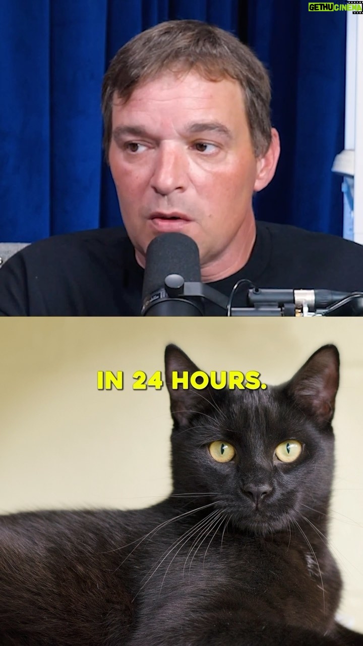 Theo Von - 201.2K Likes - Super informative chat with a Coroner, Mr. Toby Savoy. We talked about what a coroner does, how to determine cause of death, if its possible to get away with murder, and what music a coroner listens to before and after work. I learned a great deal and im thankful for your time Mr @toby.savoy Available now wherever you listen to podcasts. 🙏