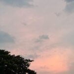 Thitipoom Techa-apaikhun Instagram - เป็นครั้งแรกในชีวิตที่ลองสั่งรองเท้าวิ่งมาเพราะเค้าบอกกันว่ามันจะช่วยการวิ่งให้ดีขึ้น ที่ผ่านมาไม่เคยเชื่อคำนี้ปกติใส่พวก ultraboots ก็ว่านุ่มสบายแล้ว พอได้ลองรองเท้าวิ่งจริงๆเท่านั้นแหละโอ้โห เหมือนรองเท้าตี+9 วิ่งเร็วขึ้นเยอะ (ไม่รู้คิดไปเองทั้ยแต่ปกติวิ่งช้าๆชิวๆแบบไม่เหนื่อย Pace 7.3 แต่พอใส่รองเท้าวิ่งวิ่งชิวๆได้ Pace 6.0) รวมถึงตอน spint ก็ไม่เกิดความร้อนที่ปลายเท้า ถ้าเป็นรองเท้าที่ใส่เดินเล่นนะ เท้าบวมไปแล้ว😂 ใครไม่เคยลองนิวว่าลองใส่รองเท้าสำหรับวิ่งดู แล้วจะว๊าวว😀 อันที่ใส่นี้เป็น Adizero Prime X 2 Strung ของ @adidas และเสื้อจาก @jaojack
