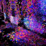 Thitipoom Techa-apaikhun Instagram – Flower flower tell me …