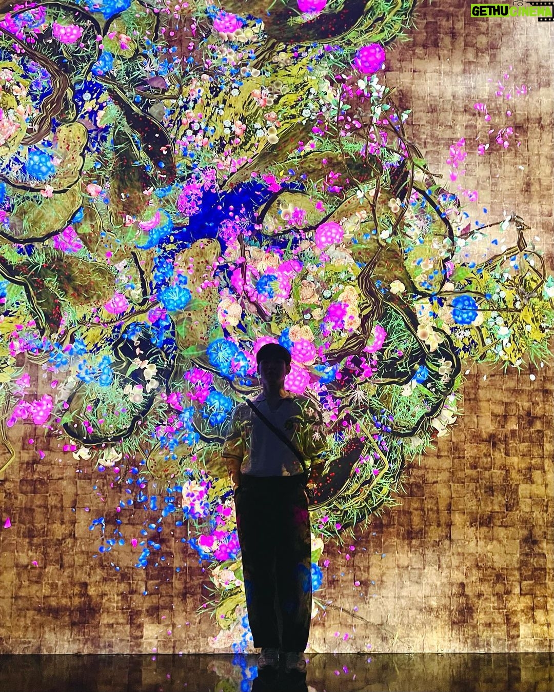 Thitipoom Techa-apaikhun Instagram - Flower flower tell me …