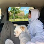 Thomas Doherty Instagram - puppy Brooklyn, New York