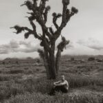 Thomas Kuc Instagram - look a cool tree - Thanks for 1.5 million everyone. Appreciate you.