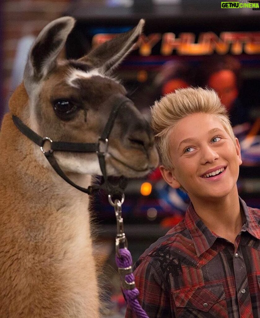 Thomas Kuc Instagram - Don't miss a new episode tonight at 8:30 and a new After Party at 9:30!🙃Also, make sure to download the new Game Shakers game, #LlamaLlamaSpitSpit 🐪