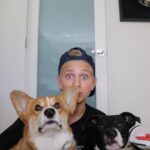 Thomas Kuc Instagram - #happynationalpuppyday 🐶🐶 Love my pups💞