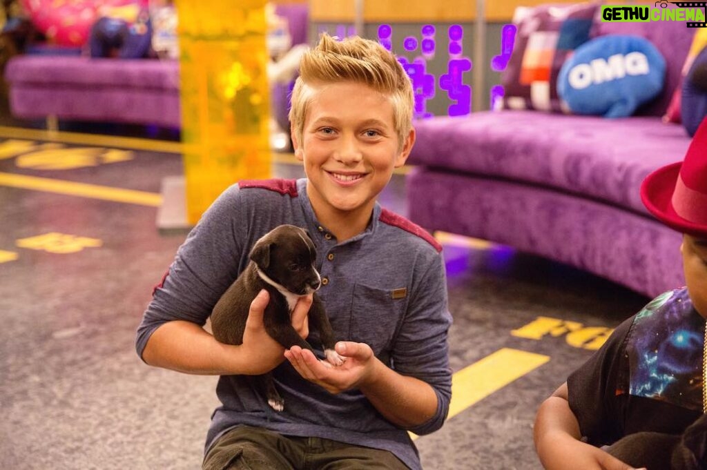 Thomas Kuc Instagram - Guess what?! My little baby Nova is starring in tonight's episode of Game Shakers at 8!!🐶Make sure to watch!!🙃😘 @sirdoctor_watson