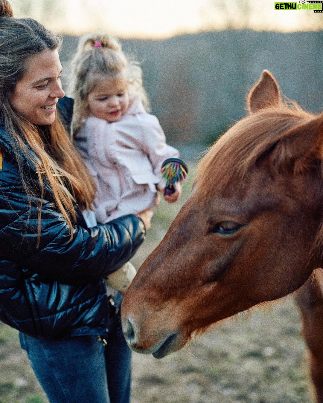 Thomas Rhett - 184.7K Likes - Man I love these slow days at the farm. Life is moving at Mach 10, but when we get to be at the farm with the horses time slows down a little. Thank ya Lord for the gift of a slow day
