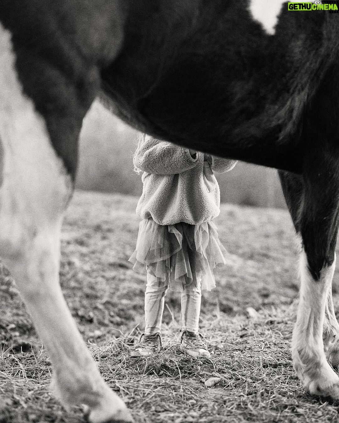 Thomas Rhett - 184.7K Likes - Man I love these slow days at the farm. Life is moving at Mach 10, but when we get to be at the farm with the horses time slows down a little. Thank ya Lord for the gift of a slow day
