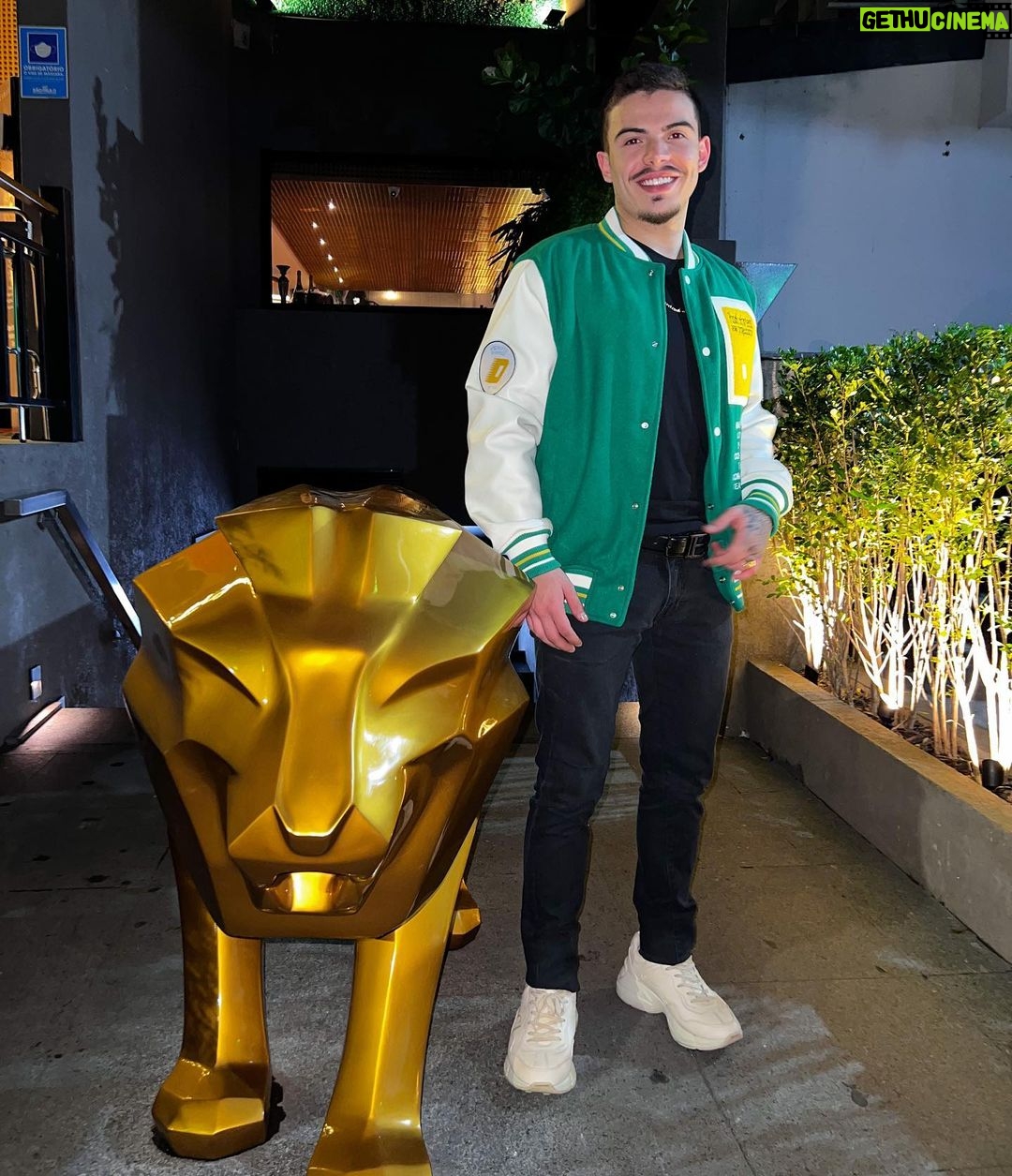 Thomaz Costa Instagram - SE A ZONA DE CONFORTO FOSSE SINONIMO DE SUCESSO O BICHO PREGUICA SERIA O REI DA SELVA 🦁