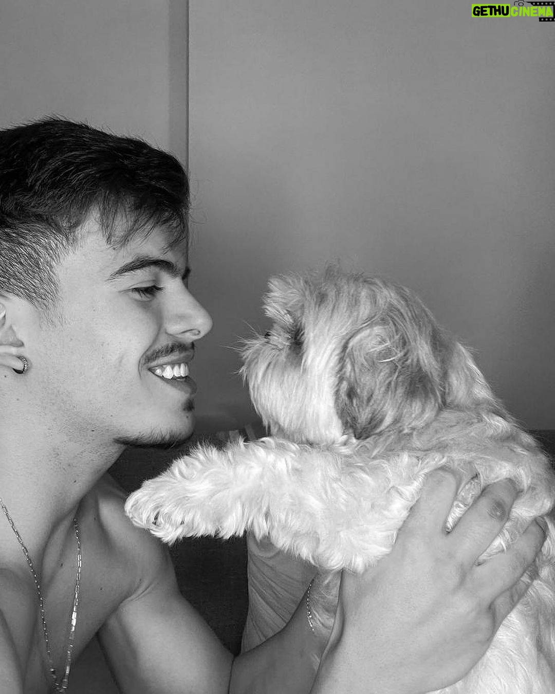 Thomaz Costa Instagram - Minha Nina ❤️ eu nunca vou te esquecer 🖤🐶 você sempre foi um amor enquanto esteve aqui… a dor é de perder alguém da família 😭😭 te amo ❤️ descanse em paz 🫶