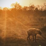 Thuso Mbedu Instagram - Life … in no particular order