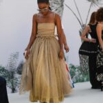 Thuso Mbedu Instagram - Dior Haute Couture Show Dressed by @dior Makeup by @jessicasmalls Hair by @naivashaintl