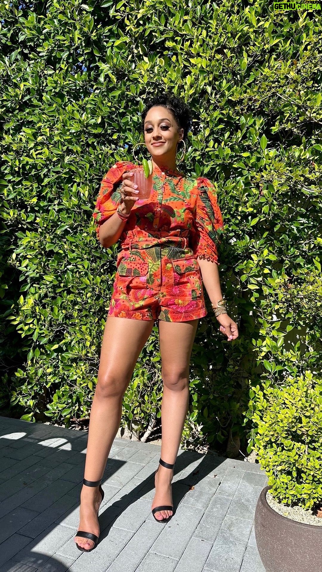 Tia Mowry Instagram - Spicy margaritas are the PERFECT summer drink 🍹 Let’s make this spicy watermelon margarita to enjoy on a hot summer day! ☀️ Recipe: -2 oz of fresh watermelon juice 🍉 -2 oz of lime juice -1 ½ oz of tequila -1 pepper of your choice 🌶️ -½ tsp of agave syrup -salt (for the rim)
