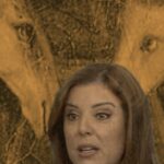 Tiago Pavinatto Instagram - elainekeller manda um recado pra vocês e pede pra compartilhar São Paulo, Brazil
