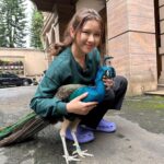 Tiara Andini Instagram - Caper banget ekornya dimekarin didepan aku🤣🫶🏻 dasar cipcip merak jantan gumush