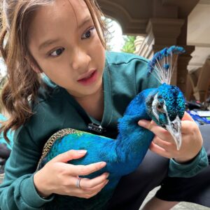 Tiara Andini Instagram - Caper banget ekornya dimekarin didepan aku🤣🫶🏻 dasar cipcip merak jantan gumush
