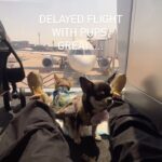 Tichina Arnold Instagram - Flight delayed. Awesome. Just awesome.