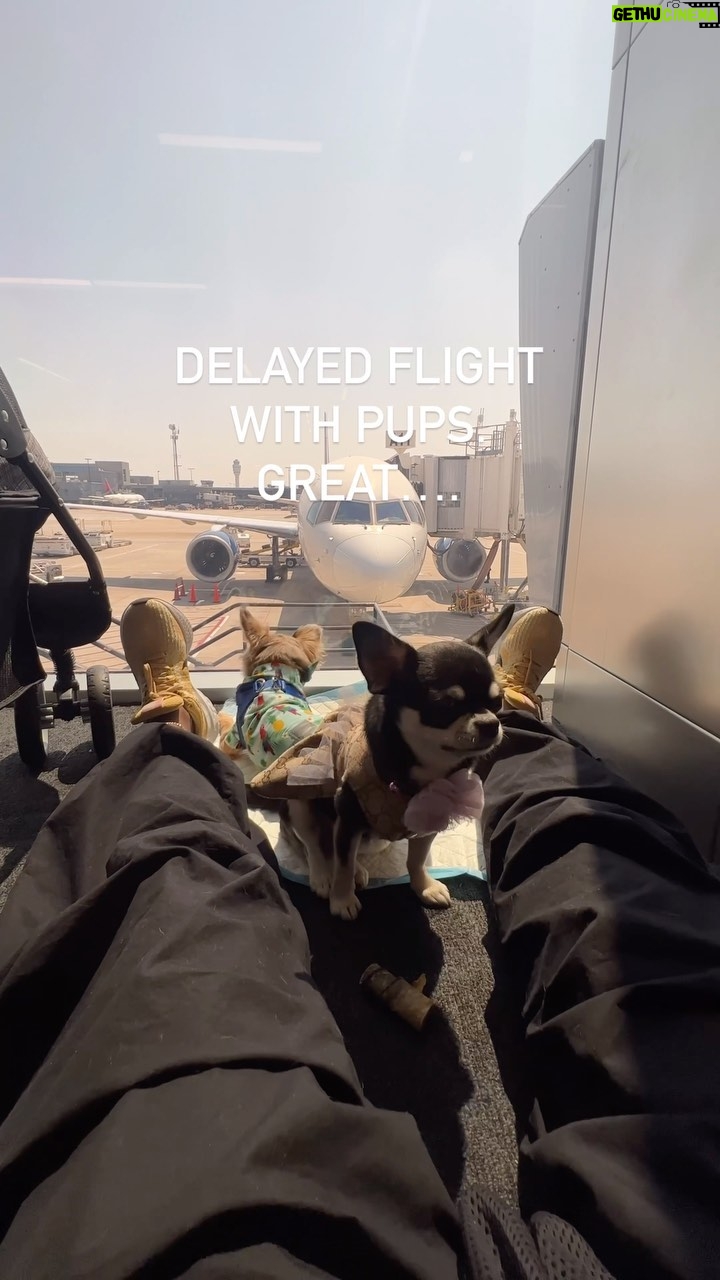 Tichina Arnold Instagram - Flight delayed. Awesome. Just awesome.