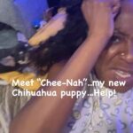 Tichina Arnold Instagram - Well…On a lighter note. I got a new puppy. #CheeNah the #TeaCupChihuahua - I’m too old for Buppies. Lol.