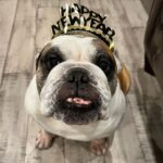 Tichina Arnold Instagram - Have a magnanimous 7 Year! #2023 With Love, Alice #BulldogLife