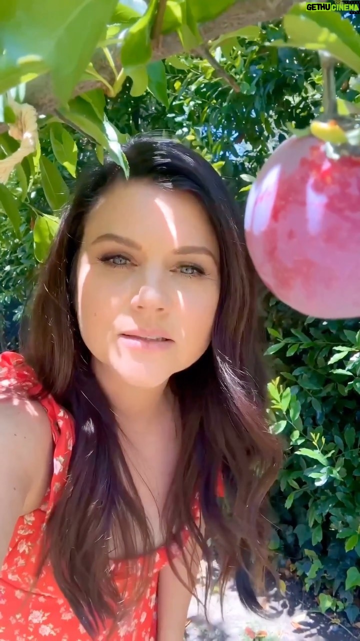 Tiffani Thiessen Instagram - Let’s stop wasting food, people! My new cookbook, #HereWeGoAgain, is meant to help you make magic out of your leftovers so you can stretch your food and your budget.