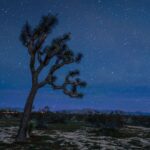 Tiffani Thiessen Instagram - Earth Day… is everyday. Don’t you agree? ❤️🌎 Joshua Tree, California