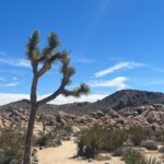 Tiffani Thiessen Instagram - What a fun little two day trip to Joshua Tree. Can’t wait to come back and explore more. #springbreak continues