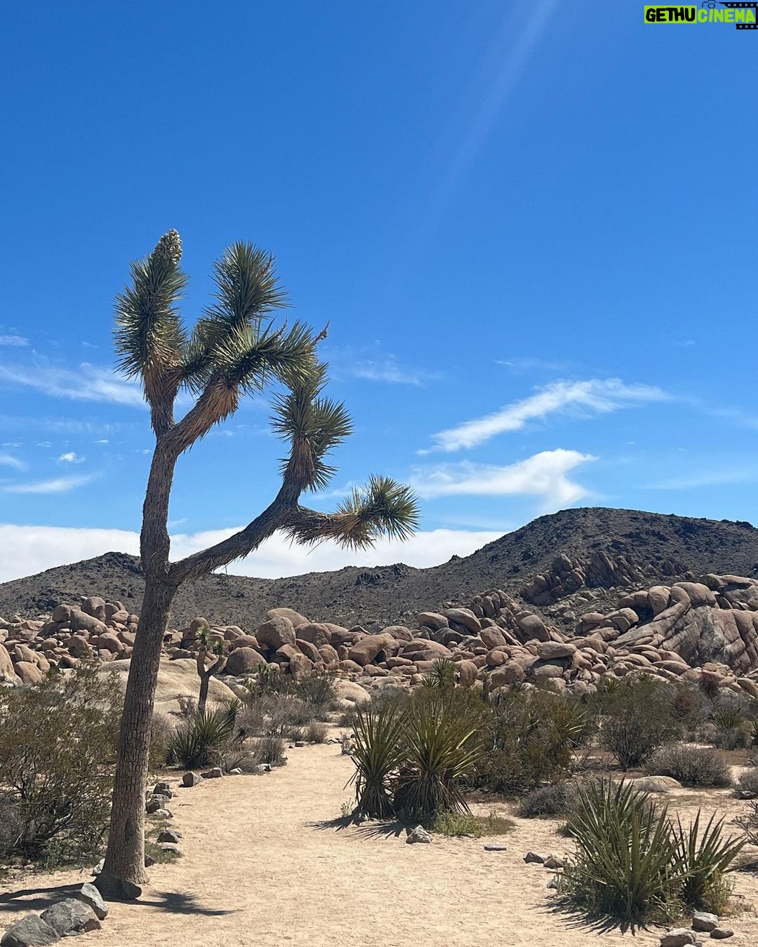 Tiffani Thiessen Instagram - What a fun little two day trip to Joshua Tree. Can’t wait to come back and explore more. #springbreak continues