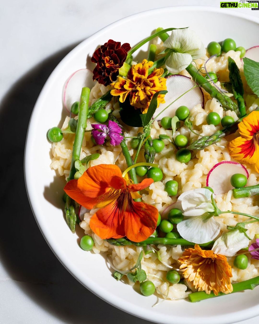 Tiffani Thiessen Instagram - Spring Risotto 🌸 my classic recipe with a pretty presentation